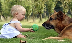 cane con bambino